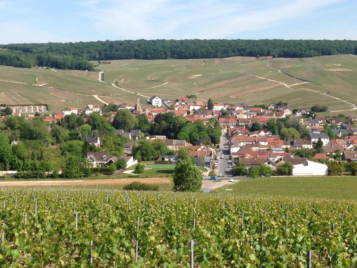 Holiday home Du Clos Pommier Chavot-Courcourt